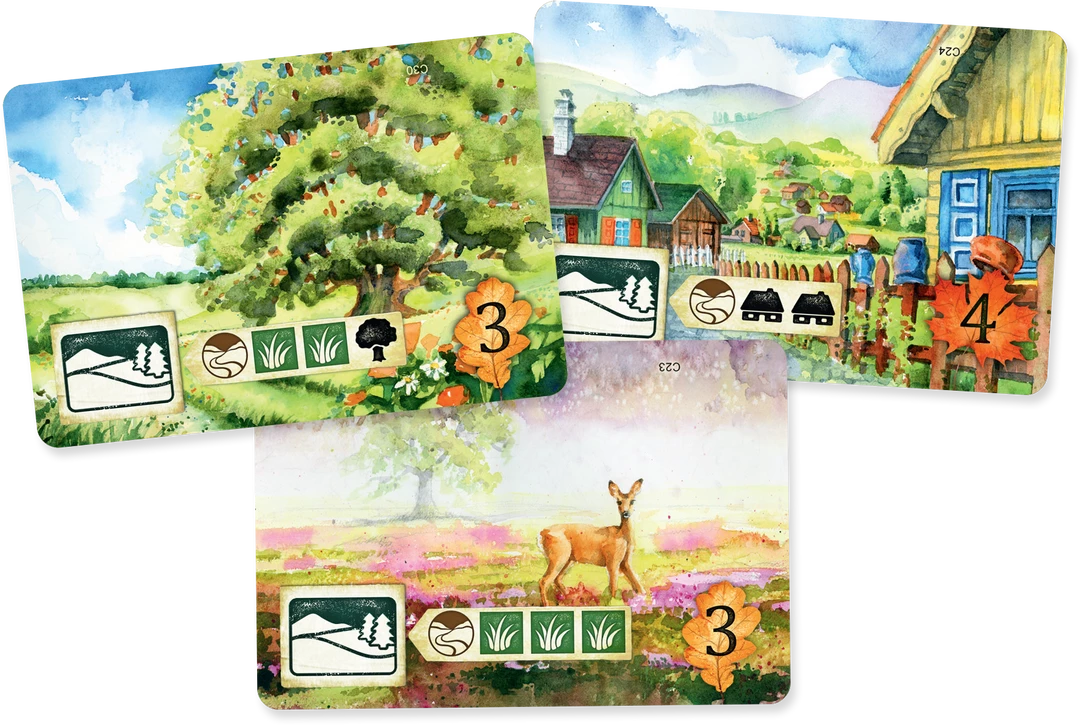 Rebel Studio Meadow Card Games