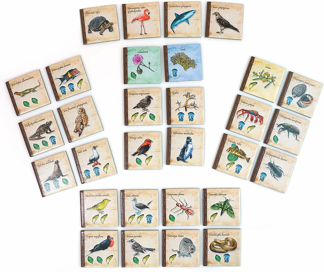 Artana On The Origin Of Species Strategy Games